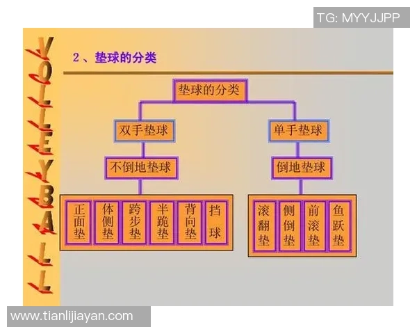 足球明星的篮球体型如何影响他们的运动表现与职业生涯发展分析 足球明星的篮球体型如何影响他们的运动表现与职业生涯发展分析